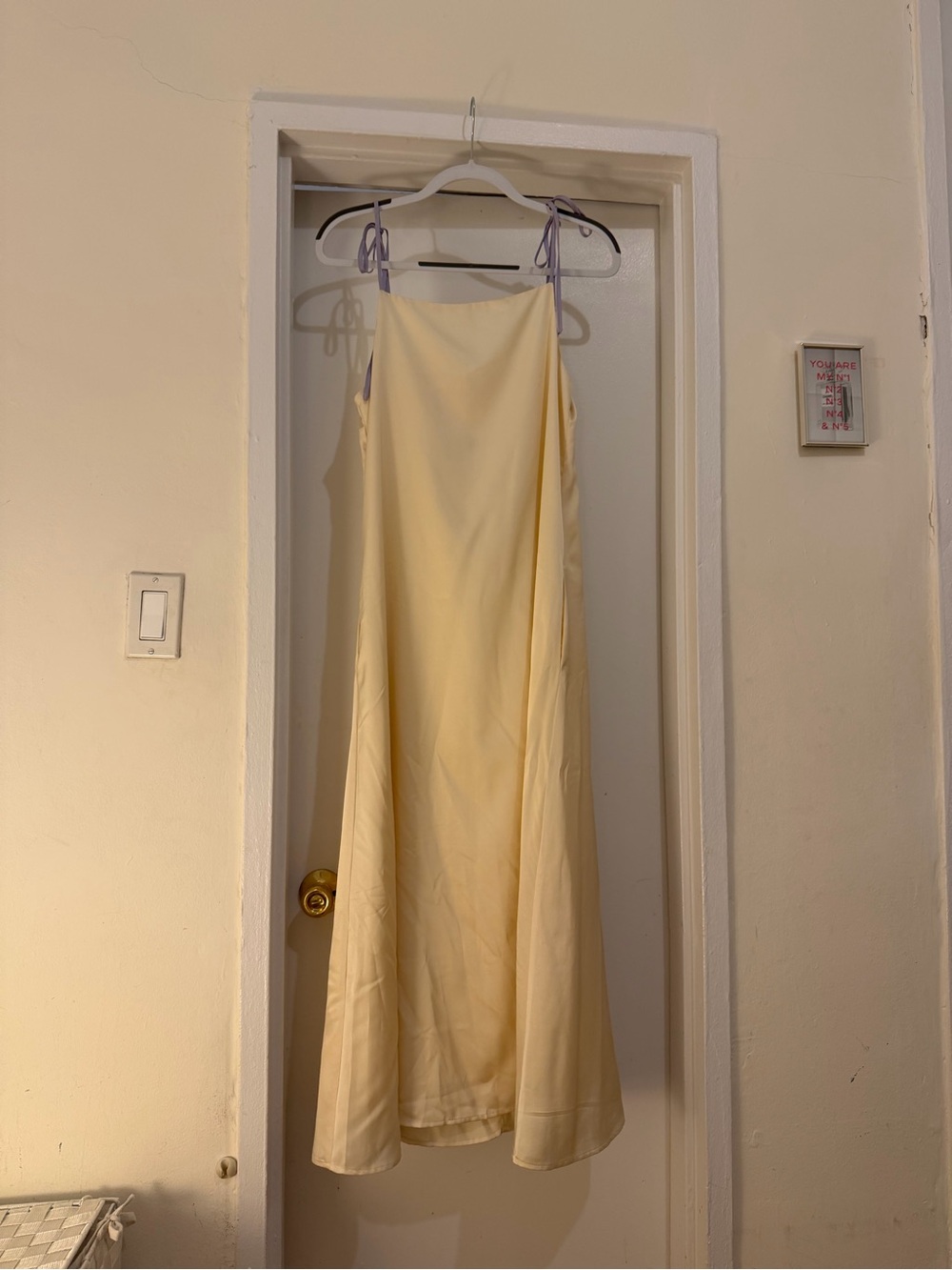 NWT Apparis Slip Dress